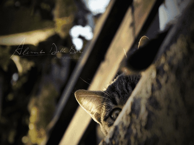 银川试管检查血沉25（出国 试管婴儿）